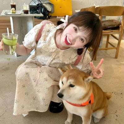 侦凶